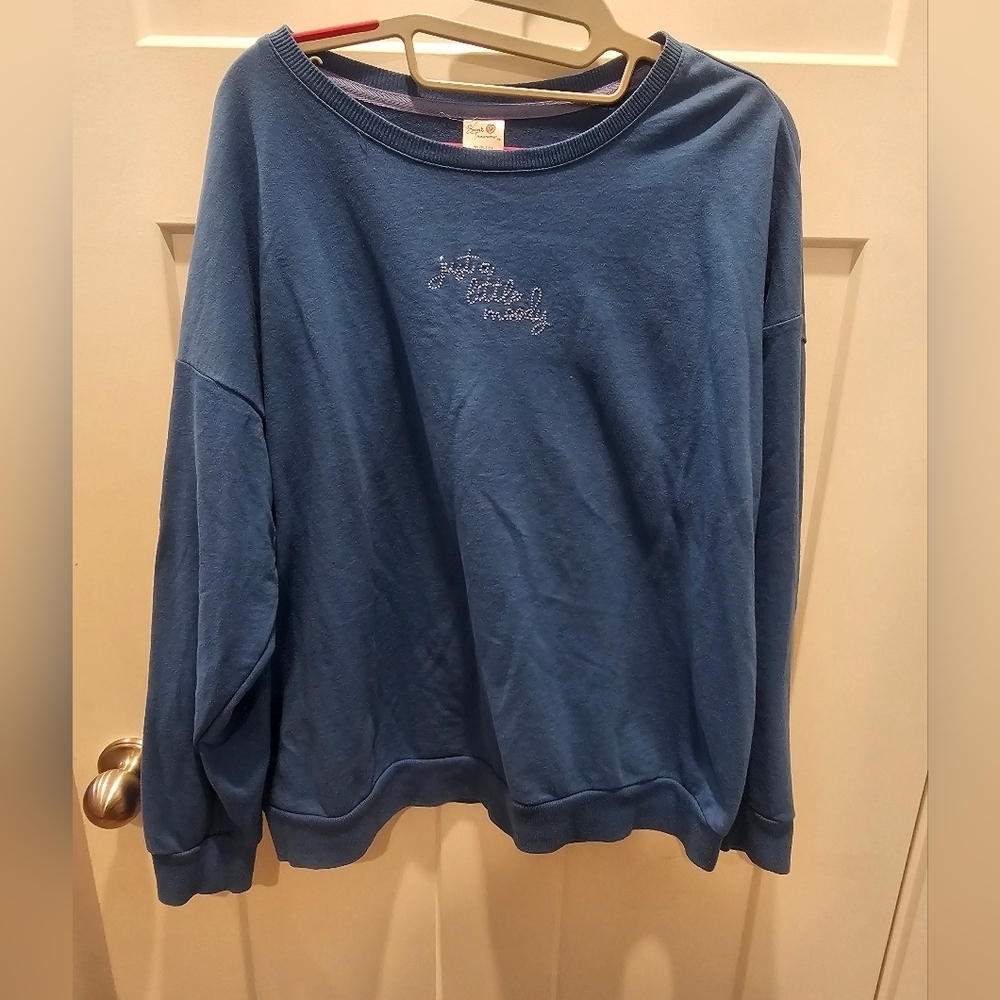 Secret Treasures Women’s Medium Blue Crewneck Sweatshirt “Just a Little Moody”